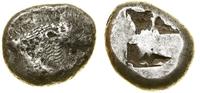 stater (520–490 pne), Aw: Przednia część ryczące