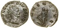 antoninian bilonowy (268–270), Rzym, Aw: Popiers