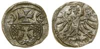 denar 1557, Elbląg, patyna, Białk.-Szw. 449 (R3)