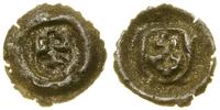 brakteat (1457–1526), Elbląg, srebro, 12.1 mm, 0