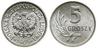 Polska, 5 groszy, 1965