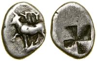 1/2 siglosa (ok. 340–320 pne), Aw: Jałówka stoją