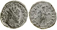 antoninian 266–267, Londyn, Aw: Popiersie w koro