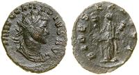 antoninian bilonowy (268–270), Rzym, Aw: Popiers