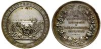 medal nagrodowy krajowej wystawy rolniczej 1894–