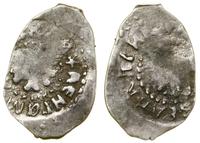Wielkie Księstwo Moskiewskie, dienga, 1462–1505