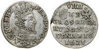 9 denarów (grosz) 1623 KB, Kremnica, Herinek 101