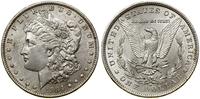 1 dolar 1884 O, Nowy Orlean, typ Liberty Head, s