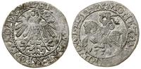 półgrosz 1559, Wilno, końcówki legend L / LITVΛ,