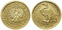 50 złotych 1995, Warszawa, Orzeł Bielik, złoto p