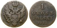 1 grosz polski 1835 IP, Warszawa, Bitkin 1073, P