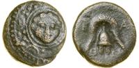 brąz (ok. 323–315 pne), Salamis, Aw: Tarcza mace