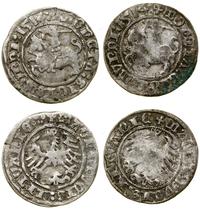 Polska, zestaw: 2 x półgrosz, 1514