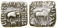 drachma, Pandższir (Panjhir), Aw: Słoń w prawo, 