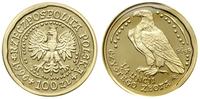 100 złotych 1996, Warszawa, Orzeł Bielik, złoto,