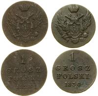 Polska, zestaw 2 x 1 grosz