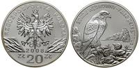 20 złotych 2008, Warszawa, Sokół Wędrowny – Falc