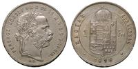forint 1876/KB, Kremnica