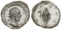 antoninian 250, Rzym, Aw: Popiersie cesarza w ko