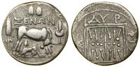 drachma (ok. 229–100 pne), Aw: Krowa w prawo, z 