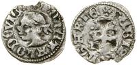 denar (ok. 1358–1366), Aw: Głowa Saracena w lewo