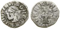 denar (ok. 1358–1365), Aw: Głowa Saracena w lewo