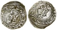 denar (1383–1387), Aw: Korona, w obręczy Λ, Rw: 