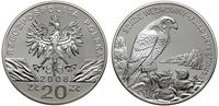 20 złotych 2008, Warszawa, Sokół Wędrowny – Falc