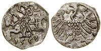 Polska, denar, 1558