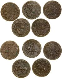 Polska, zestaw: 5 x szeląg miedziany (boratynka), 1660–1666