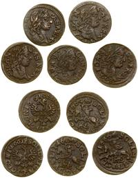 Polska, zestaw: 5 x szeląg miedziany (boratynka), 1661–1666