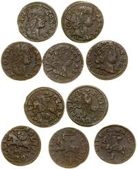 Polska, zestaw: 5 x szeląg miedziany (boratynka), 1661–1665