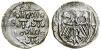 halerz (1432–1447), Nysa, Aw: Tarcza z trzema li