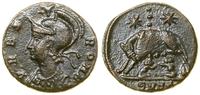 follis (330–335), Nikomedia, Aw: Popiersie Romy 