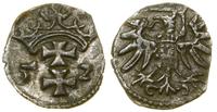 Polska, denar, 1552