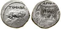 Grecja i posthellenistyczne, drachma, (ok. 80–48 pne)