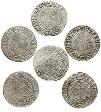 lot 3 x grosz 1538, 1542, 1543, Królewiec, srebr