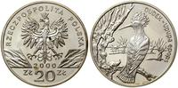 20 złotych 2000, Warszawa, Dudek – Upupa epops, 