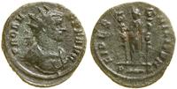 antoninian bilonowy (281–282), Rzym, Aw: Popiers