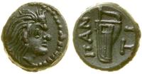 brąz (ok. 310–303 pne), Aw: Głowa satyra bez bro