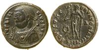 follis (317–320), Cyzicus, Aw: Popiersie cesarza