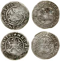 Polska, zestaw: 2 x półgrosz, 1514, (1)520