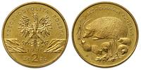 2 złote 1996, Jeż, Nordic Gold, piękne, Parchimo