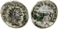 antoninian 248, Rzym, Aw: Popiersie cesarza w ko