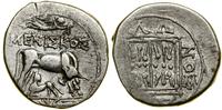 drachma (ok. 250–200 pne), Aw: Krowa stojąca w p