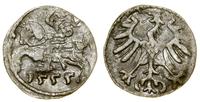 Polska, denar, 1555