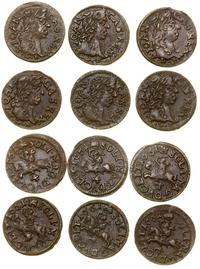 Polska, zestaw: 6 x szeląg miedziany (boratynka), 1661