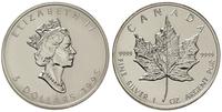 5 dolarów 1995, Liść klonowy, srebro '9999' 31.4