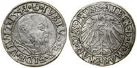 Prusy Książęce (1525–1657), grosz, 1541