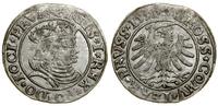 Polska, grosz, 1531